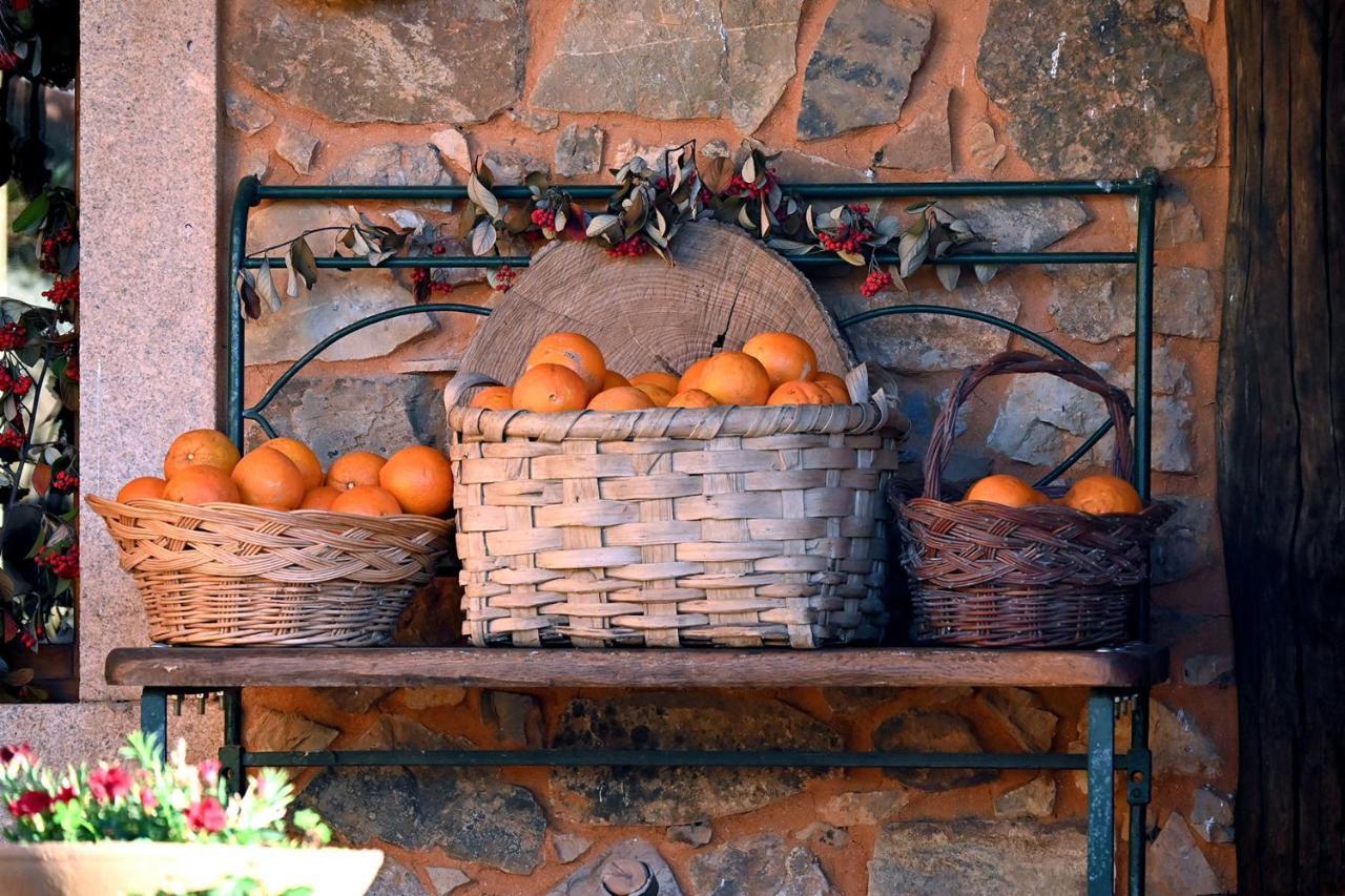 Casal Da Serra Farm stay Penha Garcia